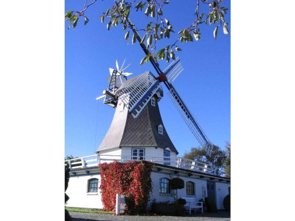 Deich Im Landhaus Michaela Friedrichskoog Luaran gambar